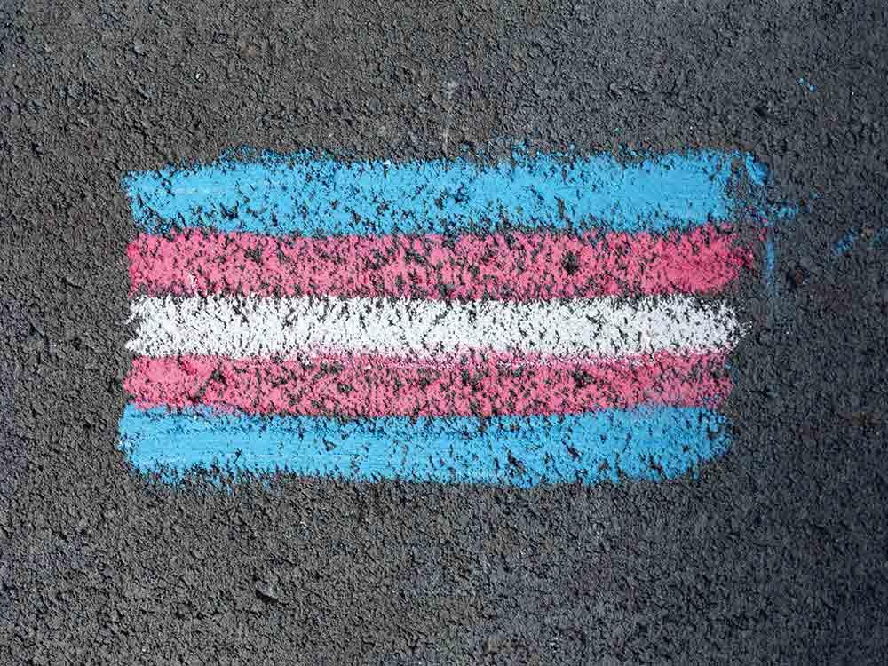 The post-election question: What comes next for trans people?