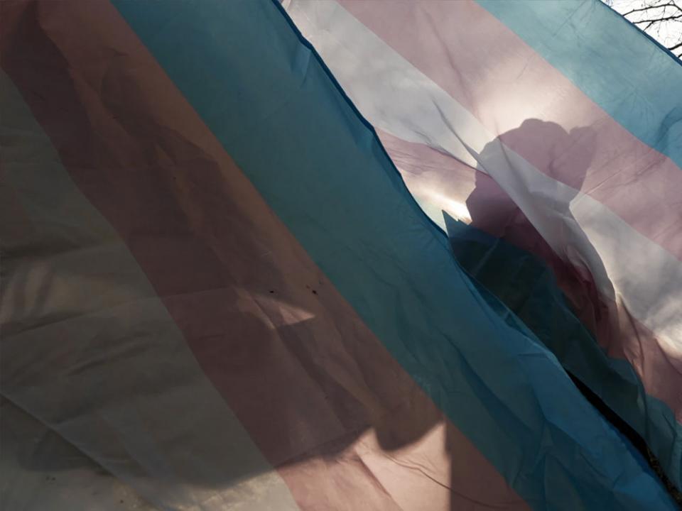 A protester is silhouetted against a trans pride flag during a pro-transgender rights protest outside of Seattle Children's Hospital, in Seattle, Feb. 9, 2025. AP photo by Lindsey Wasson.